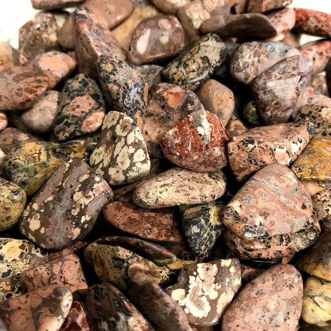 Leopard Jasper