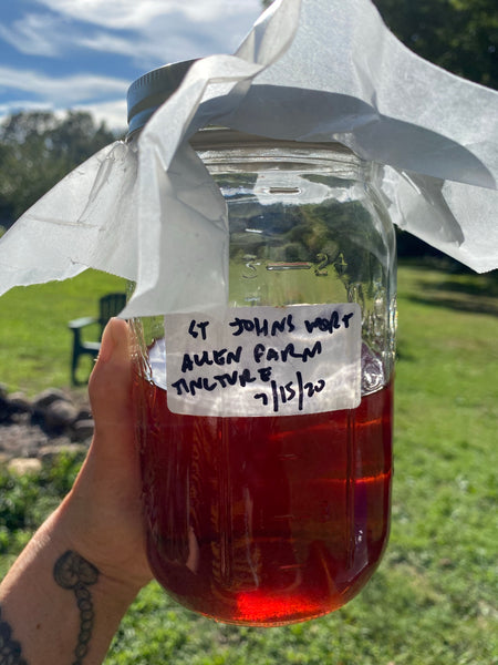 Hypericum Tincture